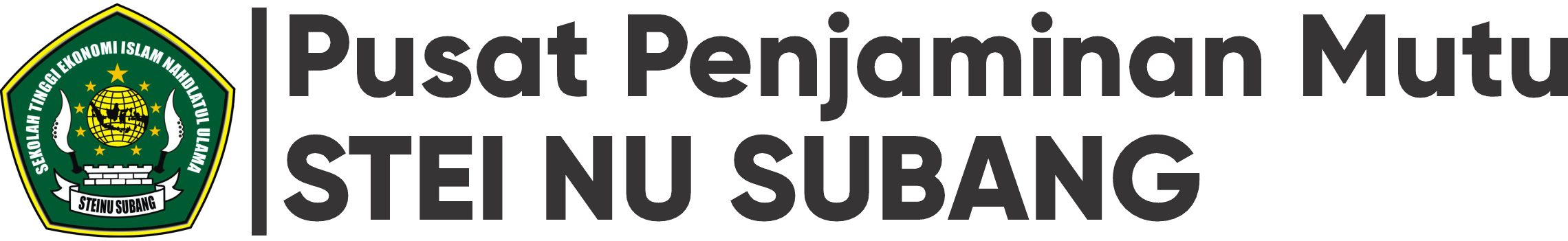 P2M STEI NU